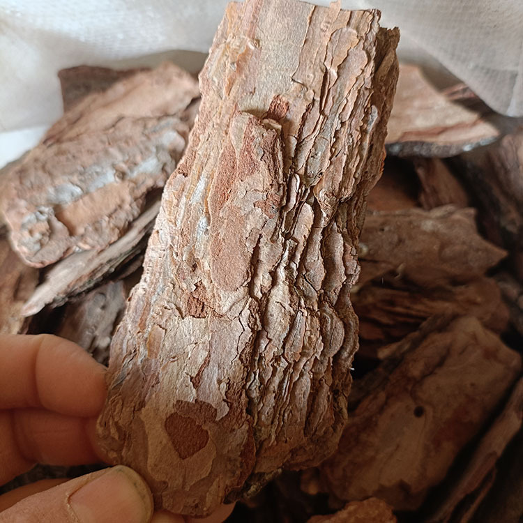 a1edd7b5f6de35cc5057ab8ba9ecfc