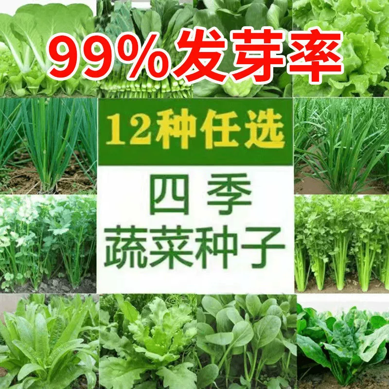 Пакет из 12 видов семян овощей, семена овощей для четырех сезонов, зеленые растения в горшках для балкона, легко выращиваемые весенние и осенние семена овощей во дворе.