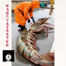 �Y����S�����ك��ش�̖�߹����r�r������ڻ��r�ϻ����r���l���