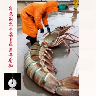 �Y����S�����ك��ش�̖�߹����r�r������ڻ��r�ϻ����r���l���