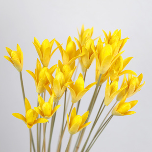 客厅旺宅真花干花