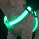 USB rechargeable LED luminous pet supplies chest strap dog leash dog chain Golden Retriever teddy dog leash factory wholesale