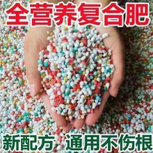 家用型种花肥料花卉农用颗粒蔬菜瓜果树化肥直销氮磷钾营养复合肥