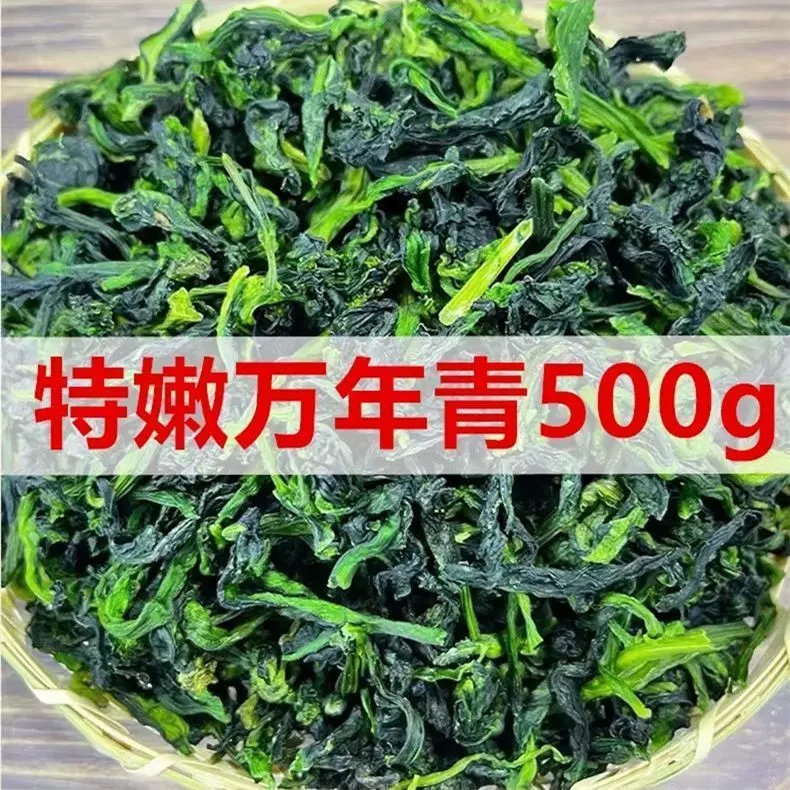 新净重5g万年青菜干脱水蔬菜橄榄菜干菜脱水菜心油菜干