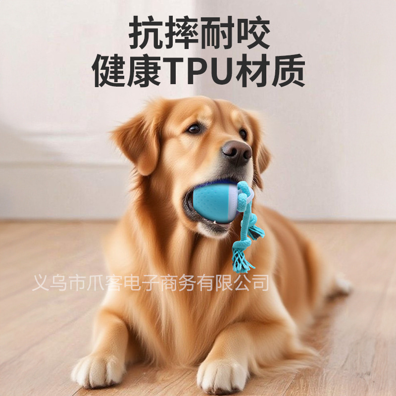 跨境智能耐咬逗狗球磨牙发声玩具宠物智能滚动球电动狗狗解闷滚动|undefined