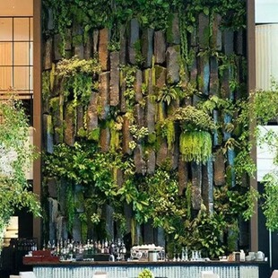 ����ֲ����^���w�Gֲ����ɽʯ�������쾰�bG���������[��