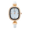 Fashionable watch strap, quartz belt, 2021 collection