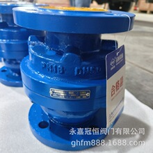 �ܵ�ʽ���y ������y ZSGP-10C DN50 �T䓚�����y