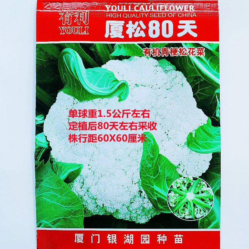 厦松80天有机青梗松花菜种子西兰花青花菜花椰菜秋季农家蔬菜种籽