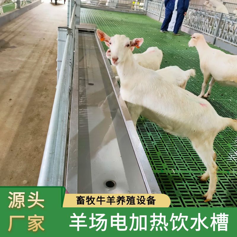 苏牧重工羊用双层机械电加热恒温饮水槽加厚不锈钢全自动上水