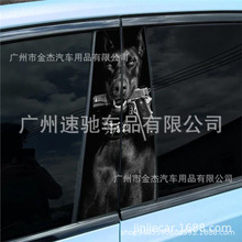 �羳�������������������Դ���B������Ĥ���˹װ ����������װ��