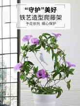 �Fˇɽ������������������ѩ�������̨ͥԺ�þGֲ�辰֧��֧�ΗU