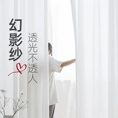 幻影纱防刮加厚透光不透人阳台纱帘简约轻奢飘窗卧室窗帘白色窗纱