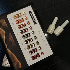 束色10色黑金沙猫眼2025年秋冬美博会新品焦糖琥珀美甲店专用小套