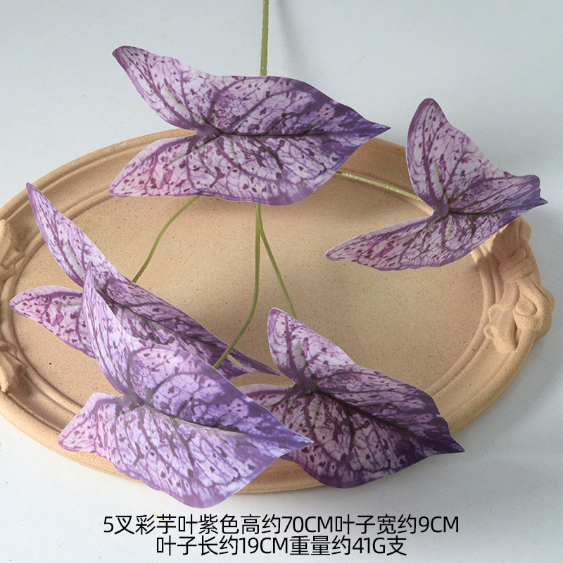 Hojas de taro de color púrpura