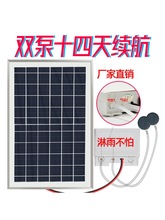 �~��̫���������Ñ��������������ͥԺ�~�����B�~С�������C