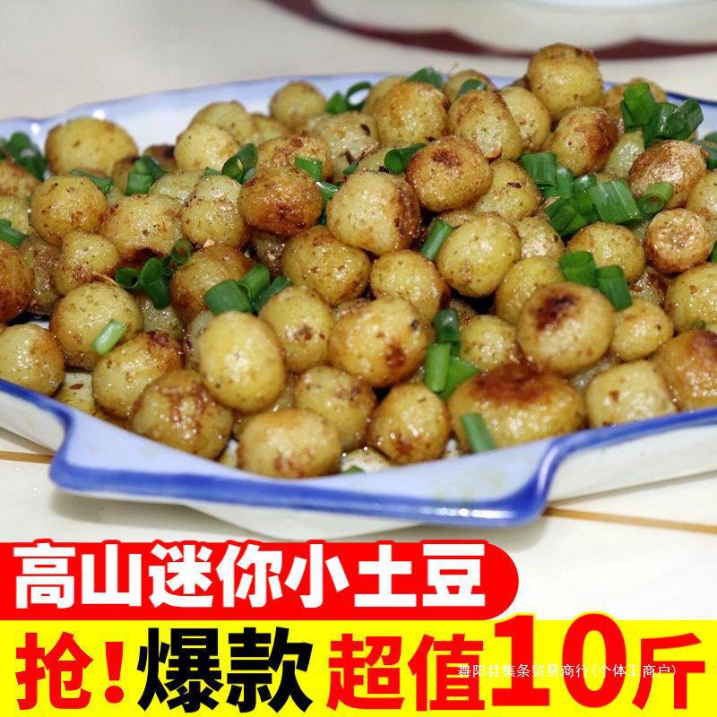 小土豆批发湖北现挖黄心土豆迷你土豆种子蔬菜非恩施3斤河南土豆