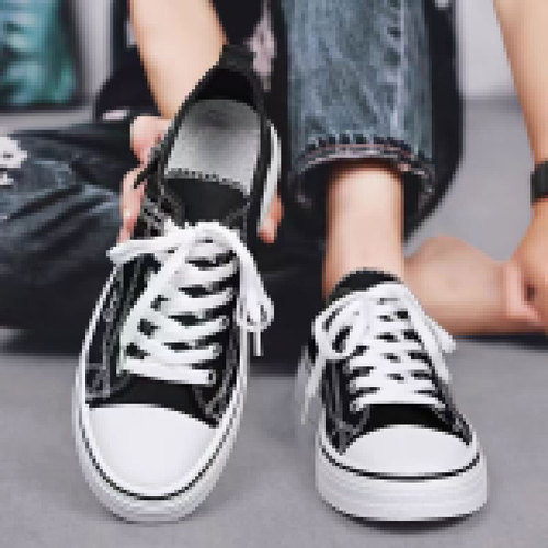 2025 Summer Canvas Shoes for Men, Classic Cloth Shoes, Youth Leisure Daily Canvas Shoes, Classic Trendy Shoes