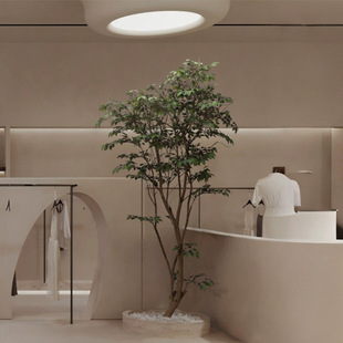 ���ͷ����Ř�پGֲ�����҃��bՇ���٘�߼�����ֲ����ؔ[��