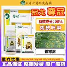 ������� ��� 80%ϩ������ �����S������˪ù�������߲�������