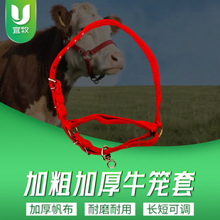 ĸ�i��ҧ�� �i���� �i����ţ�R���������i�\���i��\��ҧ�i��