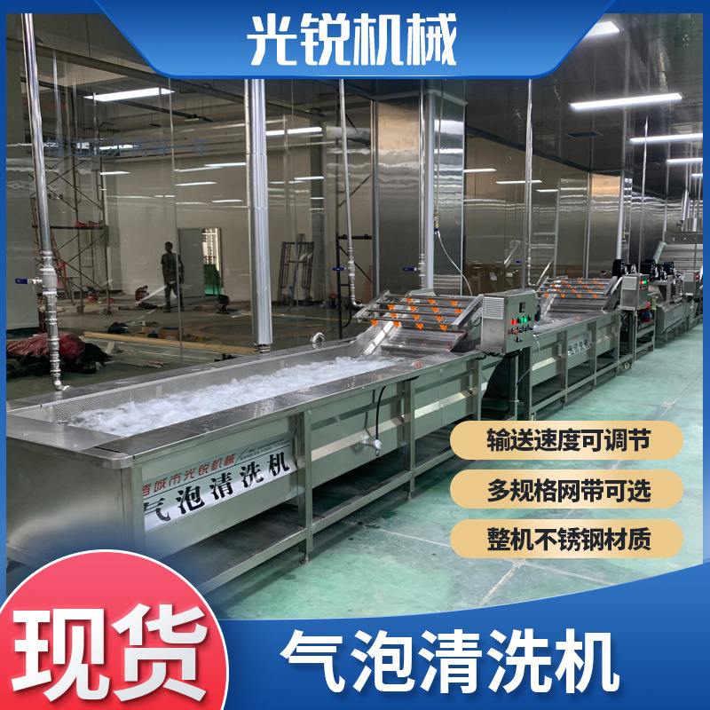 全自动果蔬清洗机 不锈钢气泡蔬菜清洗机 多功能果蔬清洗机洗菜机