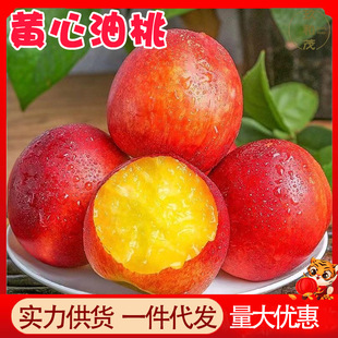 �����S������5���������r�����ЋDˮ��10���]���l3�tƤ�S��������