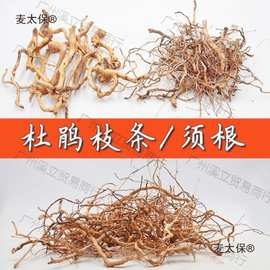 造景木枝杜鹃根枝条摆件景树根巴西树枝生命之树洞景观缸用麦太保