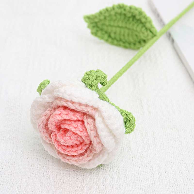 완성 된 핑크 그라디언트 로즈