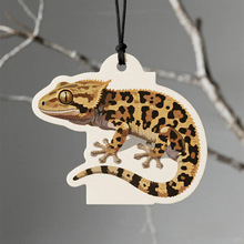 ���ﮐ����߅��Ƭ�񿨳־ó���ζ�U�㾫�����������ζ���x�ղ�