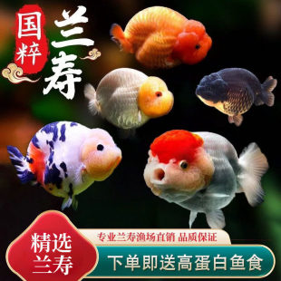 �m�۽��~���w��ˮ�^�p�~����̩�{�\���~����ˮ�~С���~���B�׻�