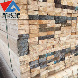 �S�ҹ��� ���ô��Fɼľ����Ž��@�� �Fɼ����ľ�ذ彨�Bľ���Aľ