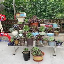 �๦�ܲ��P䓻��܎�݆�U�ռӺ��������ʽ�̨ͥԺ��݆���P䓻���