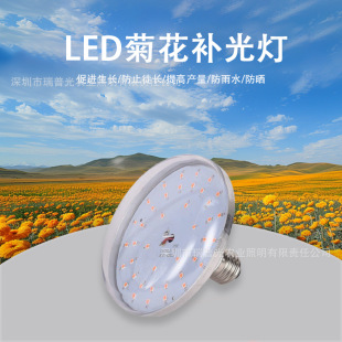 Dragon Fruit Fill Light Led Full Spectrum Vegetable Strawberry Grape Inhibiting Chrysanthemum Growth Light Greenhouse Fill Light