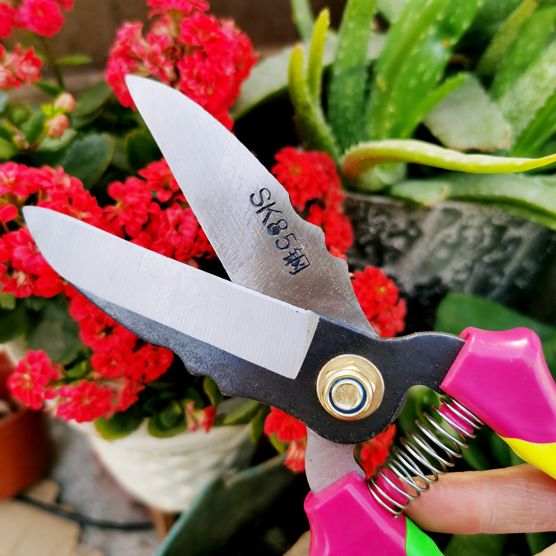 微信图片_20210321145520