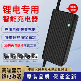 锂电池电动车充电器24V36V48V60V67.2V3A42V2A54.6V2A电车平衡车