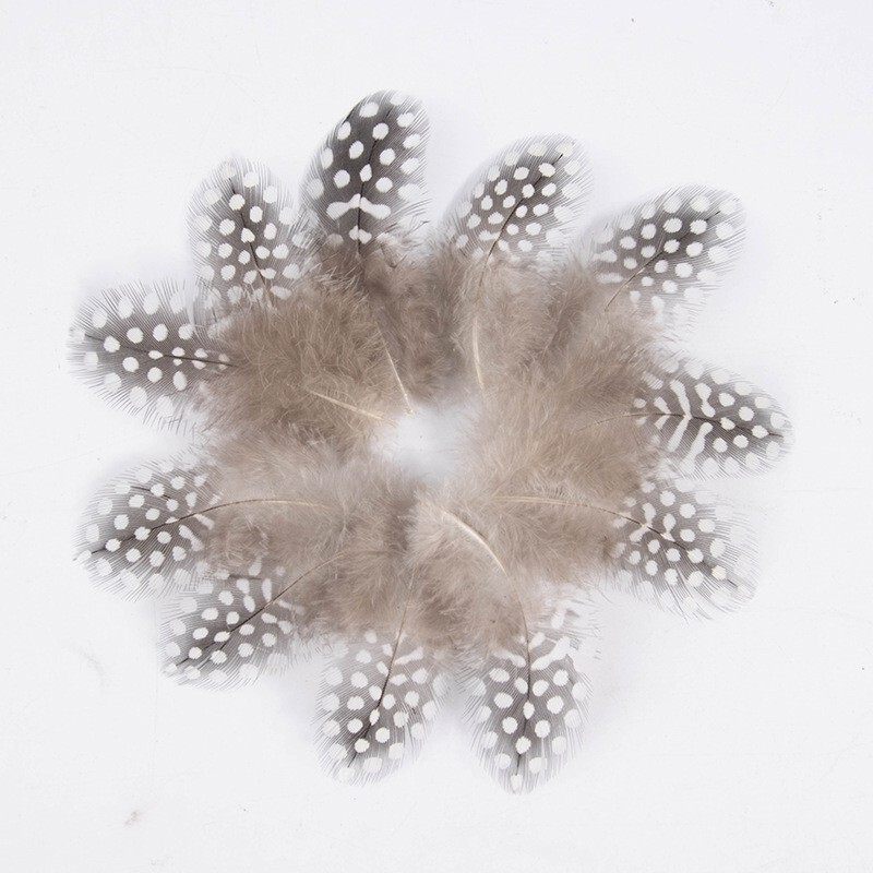 Factory Direct Sale Natural Color Polka Dot Feather Colorful Polka Dot Pheasant Feather Pearl Chicken Feather Cat Teaser Stick Accessories Small Feathers