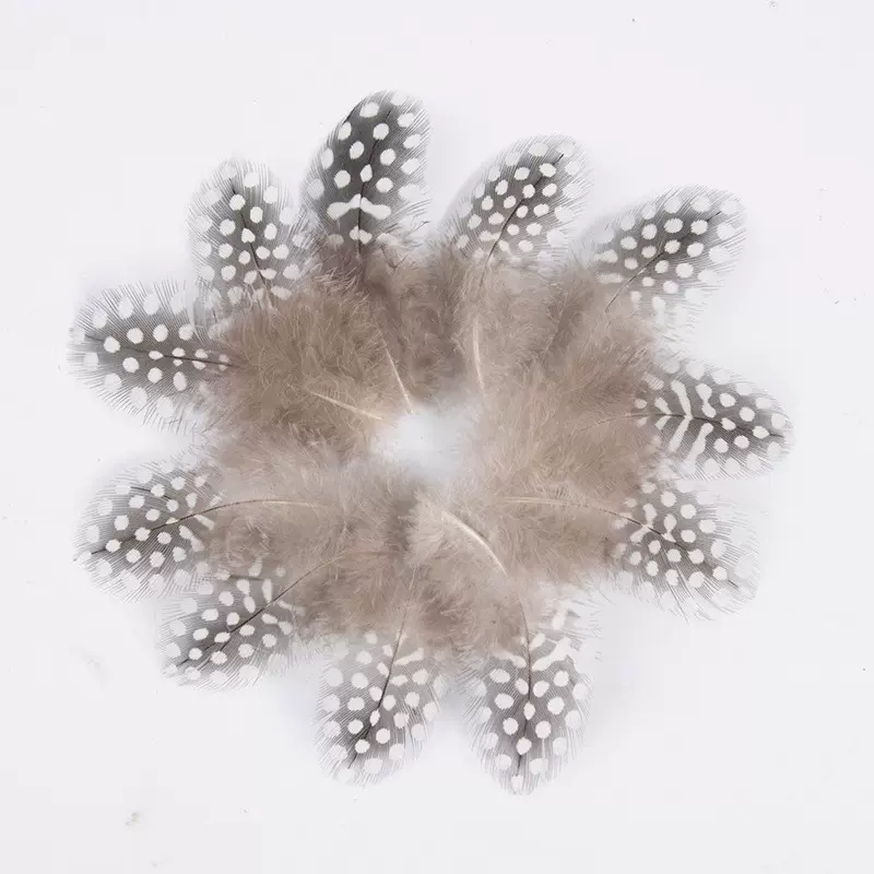 厂家直销自然色圆点羽毛逗猫棒配件彩色波点野鸡毛珍珠鸡毛羽毛花