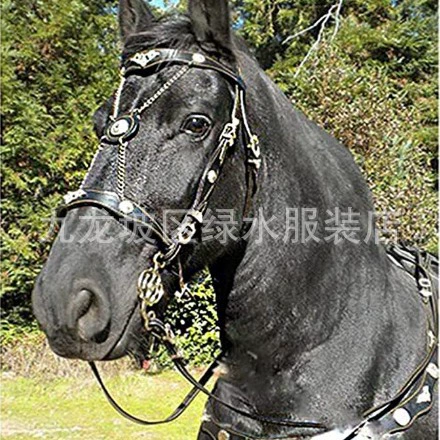 2023 новые конные принадлежности Европейская и американская мода кожаная уздечка желание Конное снаряжение металлический чехол для клетки для лошади