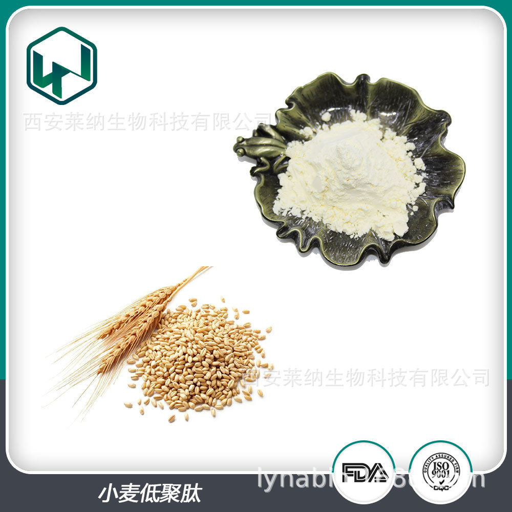 小麦低聚肽 80%含量固体饮料食品原料辅料粉 现货包邮量大从优