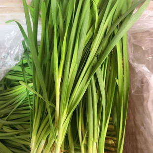 �����r�²� �r�ҷNֲ���F�ɬF�l�r��M3�����r�߲�һ�����l