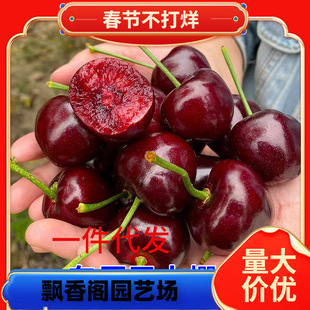 һ�����l����Ҙ���܇�����箔��Y���Ϸ������Nֲ�������Ե��Լ�