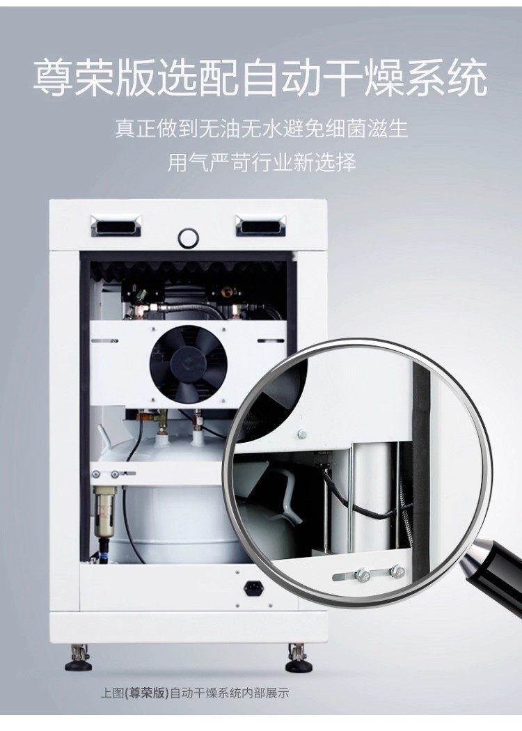 Fengbao Box-Type Air Compressor Laboratory Silent Oil-Free Air Compressor Drying Box-Type Dental Clinic Air Pump
