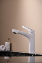��ƽ�ż���ԡ����ʽ������ͷ̨�������������ͷ��װԡ�ҹ�34040