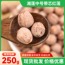 代发包邮湘莲中号带芯红莲250g袋圆粒莲寸三莲有芯红莲红皮莲干货