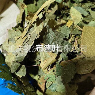 1ǧ����؛������l�����~������ �Ʋ��~���鲼�~���������~��؛
