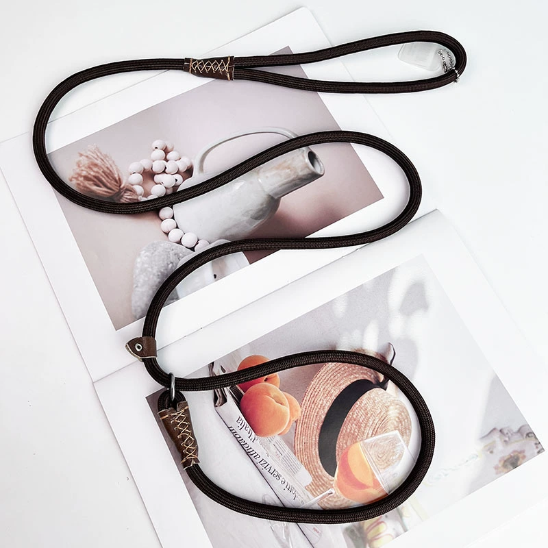 Собака P Цепная собака поводок для собак Тедди Биби щенок золотистый ретривер