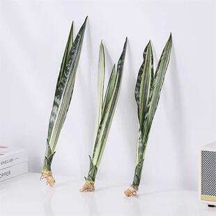 �y���m���~��Ƥ�m���_Ʒ�N��β�m���^�����՚��k���҃ȿ͏d����