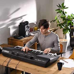 hrRPSR SX600 SX72061IˌǏWֱʘ