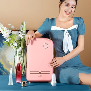 12L Beauty Refrigerator, Cosmetics Refrigerator, Constant Temperature Fresh-Keeping Skin Care Product Storage Mask Refrigerator, Car White